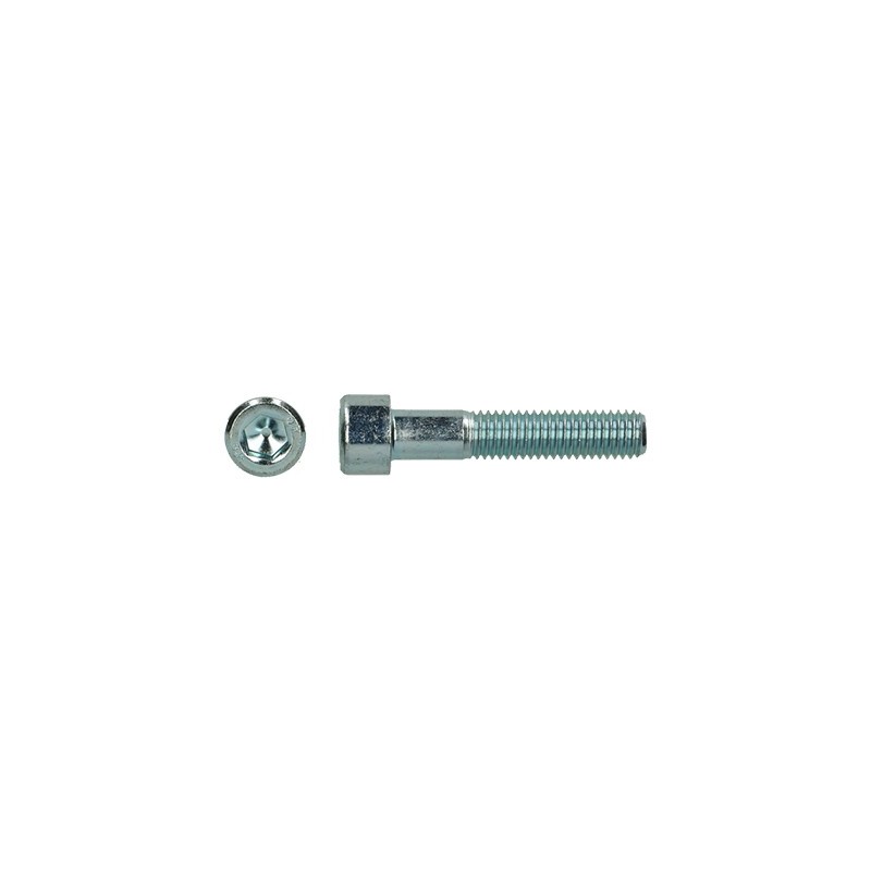 PGB vis A 6PC TC 8.8 DIN 912 M  5X 40 zingué BZ1912050040 BZ1912050040