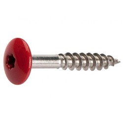 Vis cedral pann façade coloré torx 4.8X38 19296 19296